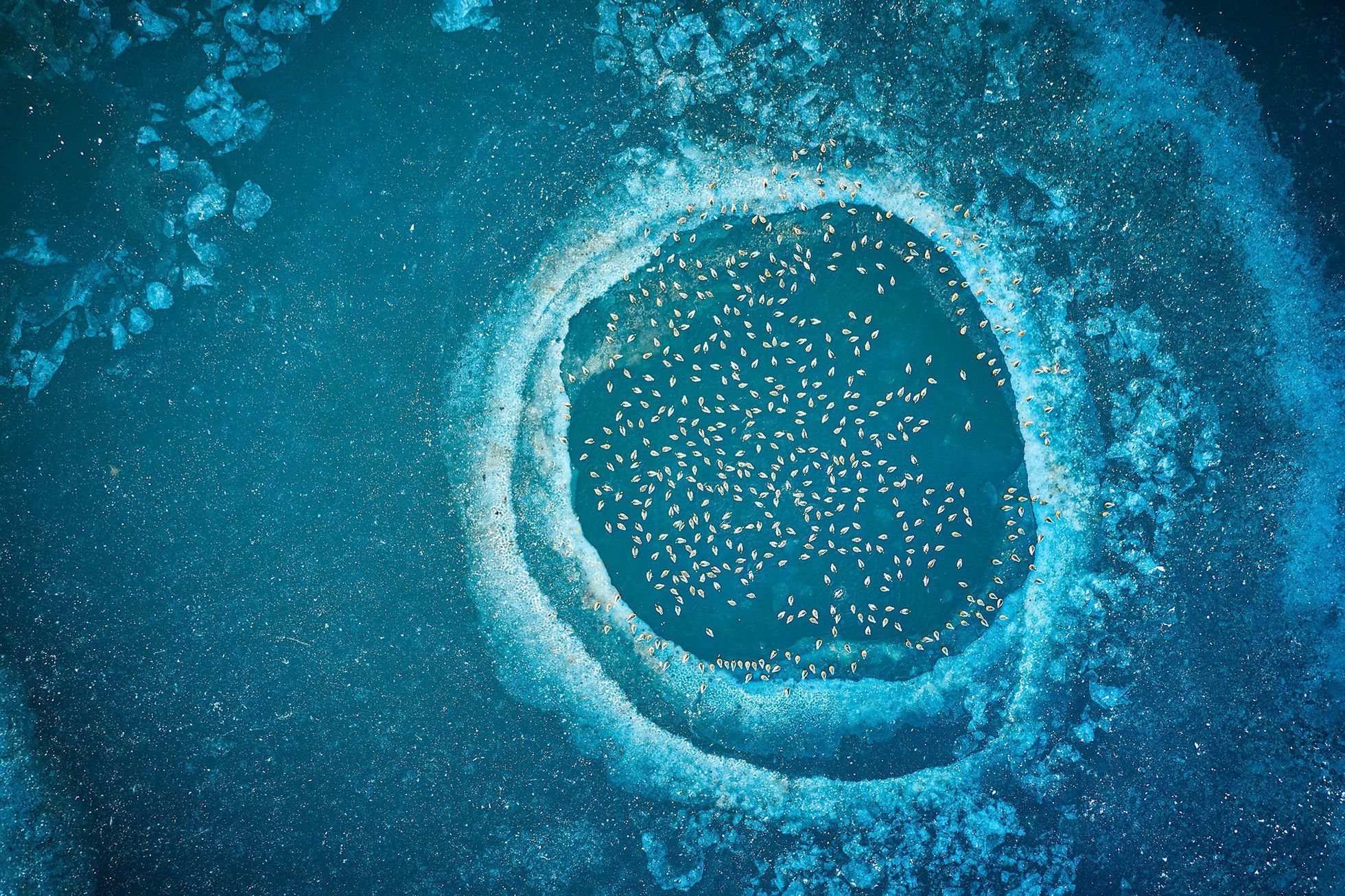 Czech Nature Photo 2023 - nominace