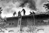 Hasiči při zákroku během požáru jatek v Holešovické tržnici. Rok 1929.