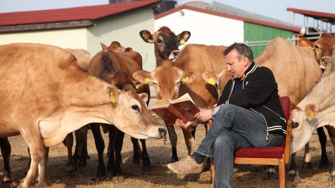 Jan Miller se svými kravami na farmě ve Svrkyni