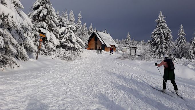 Velká Deštná, Orlické hory (prosinec 2021).