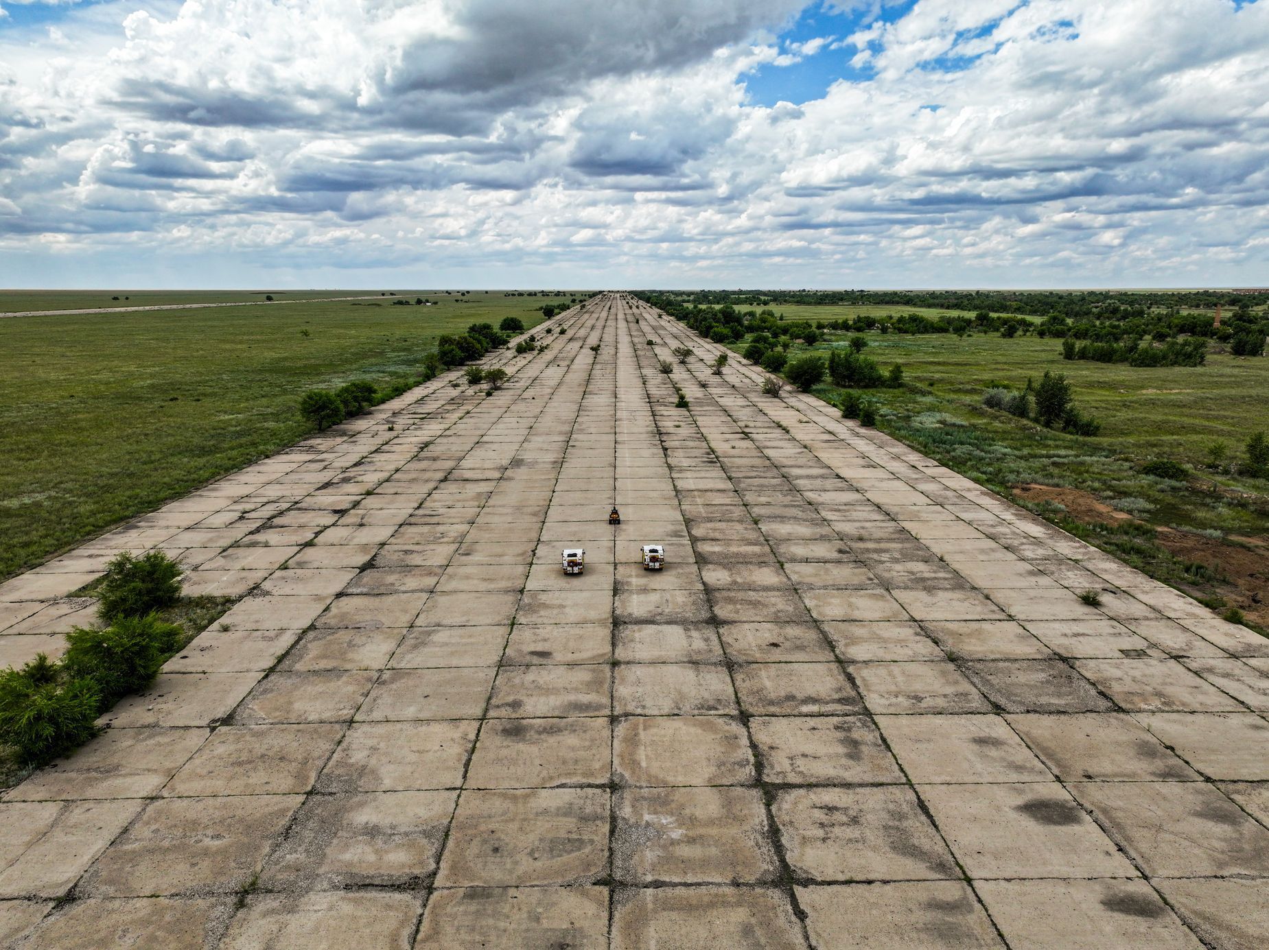 Přibáň, Žlutá žába, Rusko