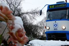 Zahynuli tři lidé. DP Ostrava zaplatí, že nic nedělal