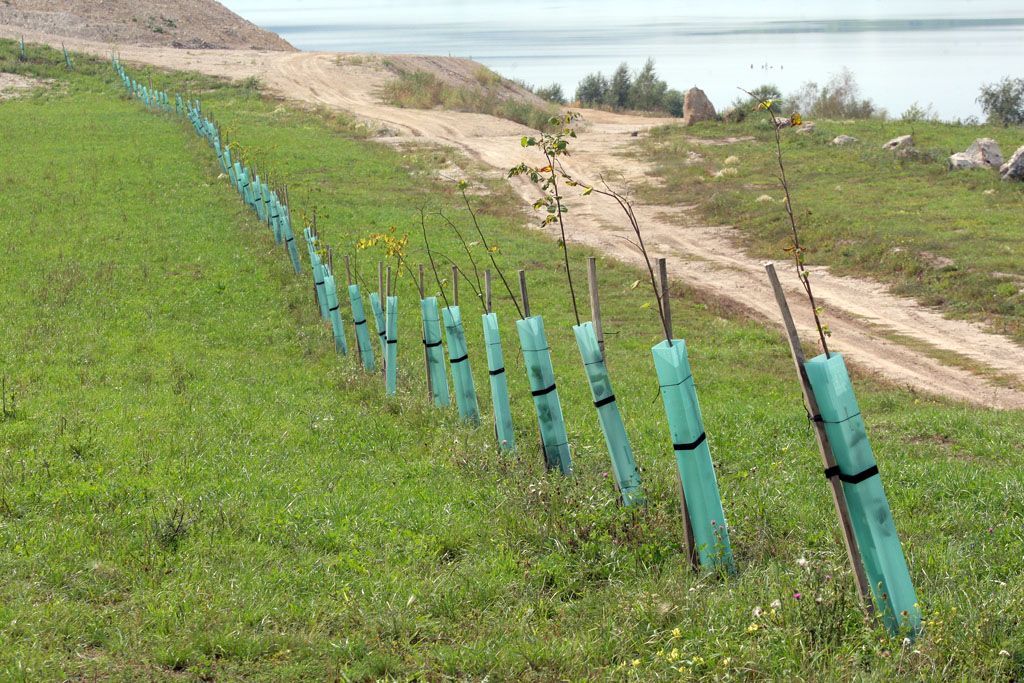 Jezero Most