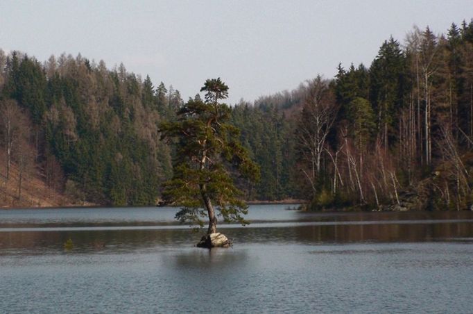 Stav za maximálního vzdutí hladiny při přelivu přes hráz nádrže (cca 467 m n.m.), duben 2012.