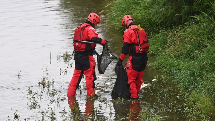 V Odře uhynuly stovky ryb. Ve vodě jim došel kyslík, říkají odborníci