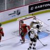 NHL 2K9