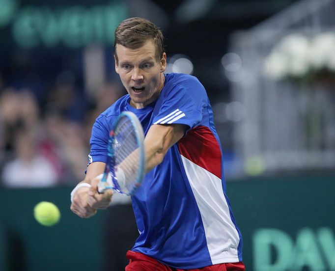 Tomáš Berdych, Davis Cup