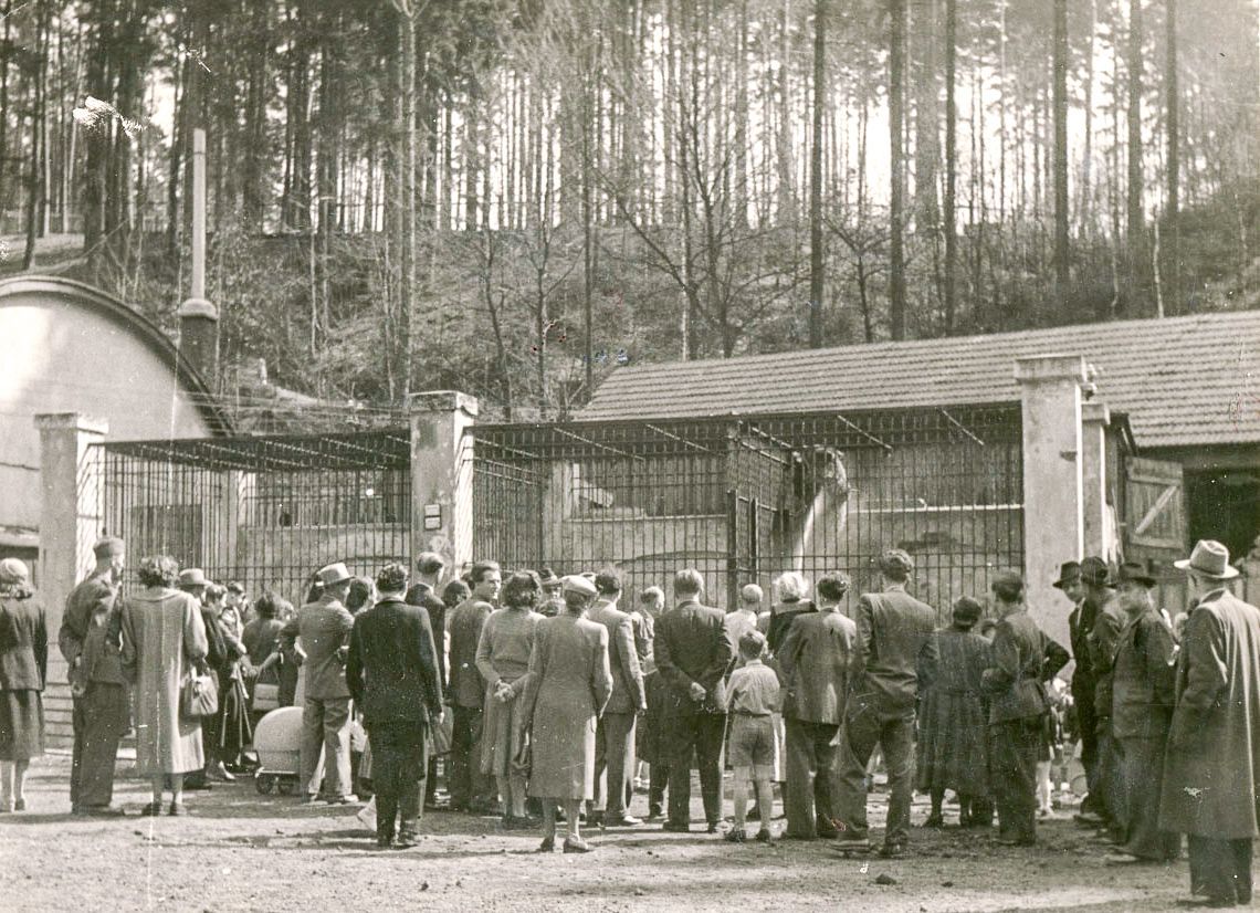 ZOO Liberec, zoo, zoologická zahrada, Liberec, historie, výročí, Domácí