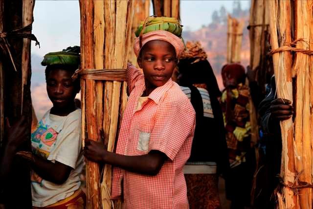 Rwanda před prezidentskými volbami