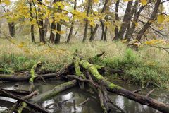 Na jihu Moravy vznikají další evropská chráněná území