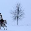Znovu se psal rok 1805. A Napoleon znovu zvítězil u Slavkova