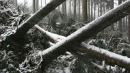 Následky vichřice v Krkonoších