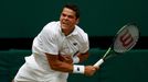 Milos Raonic v semifinále Wimbledonu 2016.