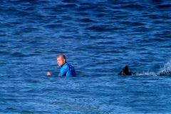 Boj o život v přímém přenosu: surfaře napadl žralok