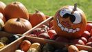 REFILE - ADDING COUNTRY IDENTIFIER Pumpkins for sale are displayed on a stand at a farm near Loosdorf, some 80 km (50 miles) west of Vienna October 3, 2012. REUTERS/Heinz-Peter Bader (AUSTRIA - Tags: FOOD ENVIRONMENT) Published: Říj. 3, 2012, 8:47 odp.