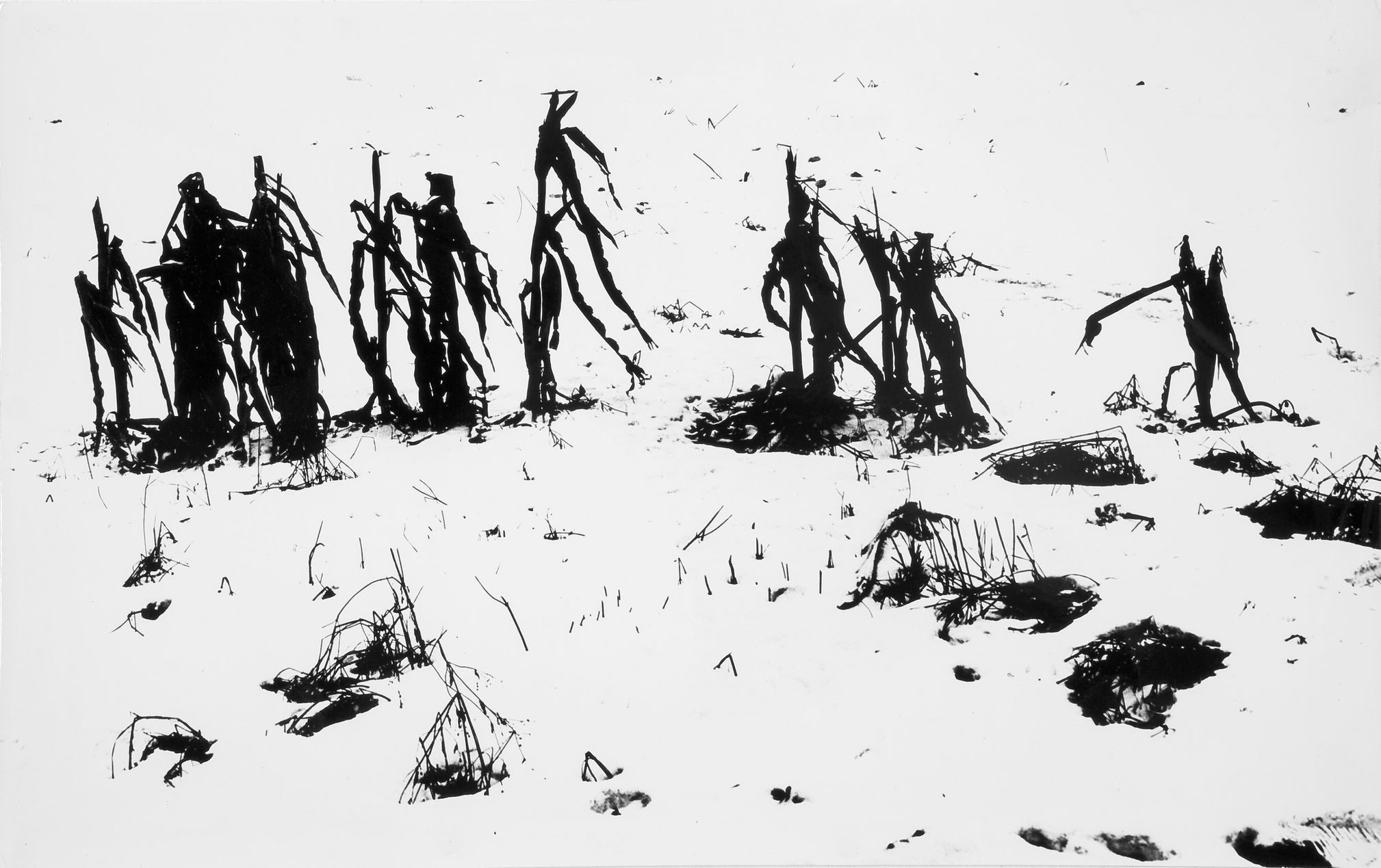 Výstava: Vilém Reichmann. Každá věc je počátkem básně, Vilém Reichmann, fotograf, výstava, Brno, Foto, Magazín