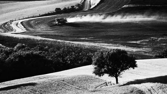 Ukázky fotografií z katalogu, který zdobí snímky členů fotoklubu z Italského Montepulciana.