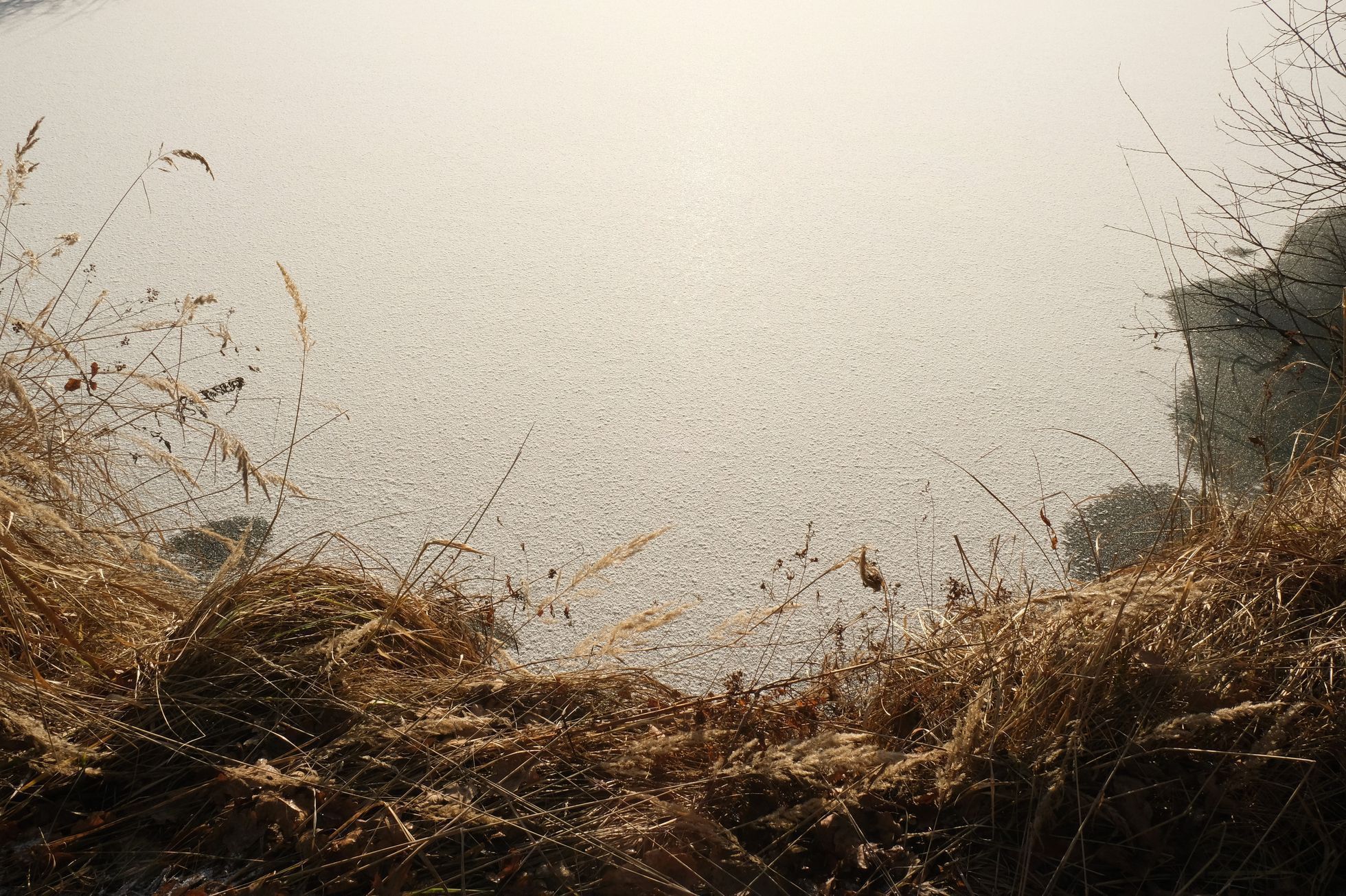 Top Foto 2022: Magdalena Medková. Výběr nejlepších fotografií