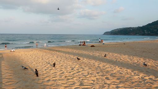 Pláže v turisticky oblíbeném Phuketu vylidnil koronavirus.