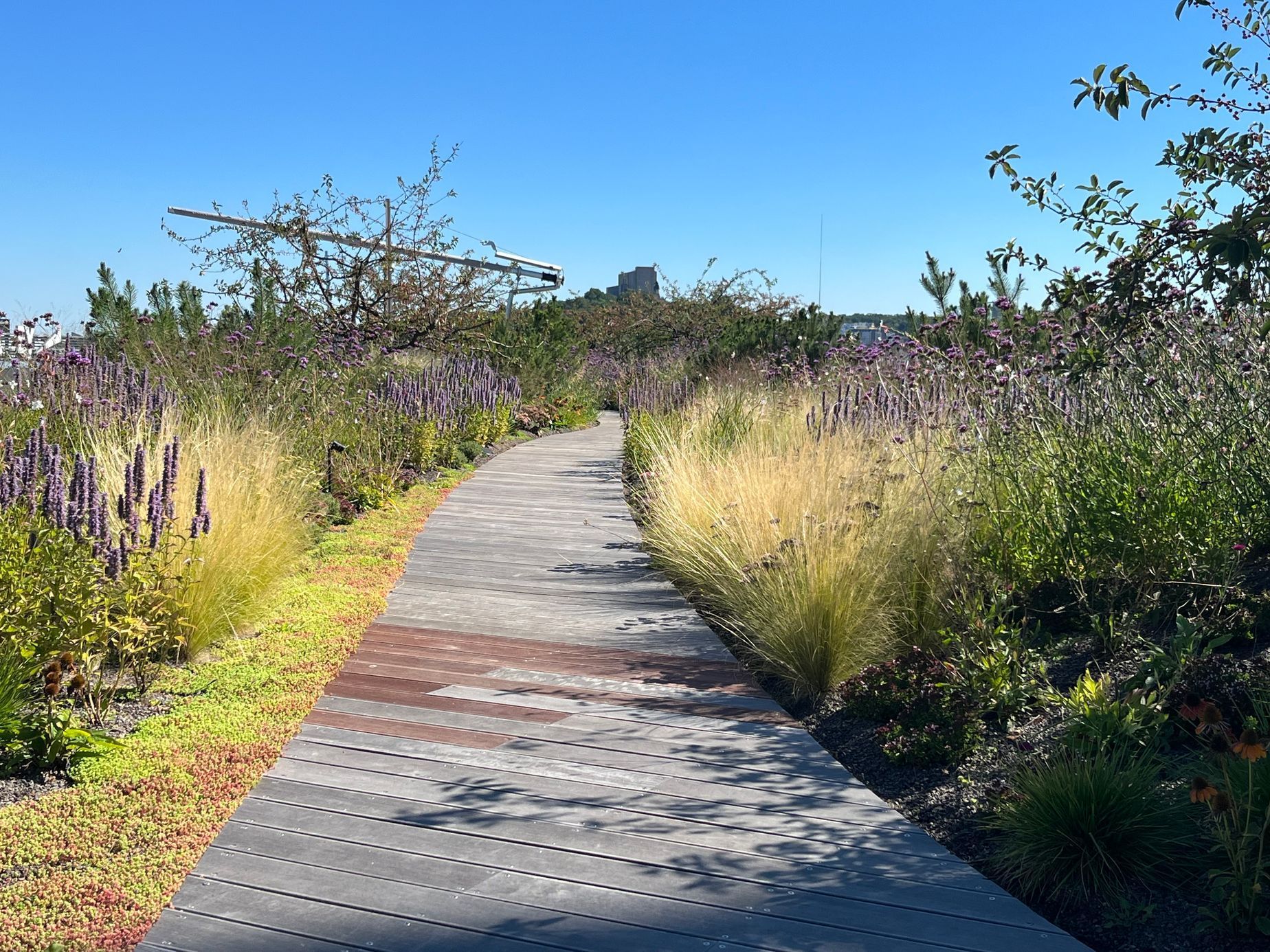 Masaryčka - Penta Real Estate