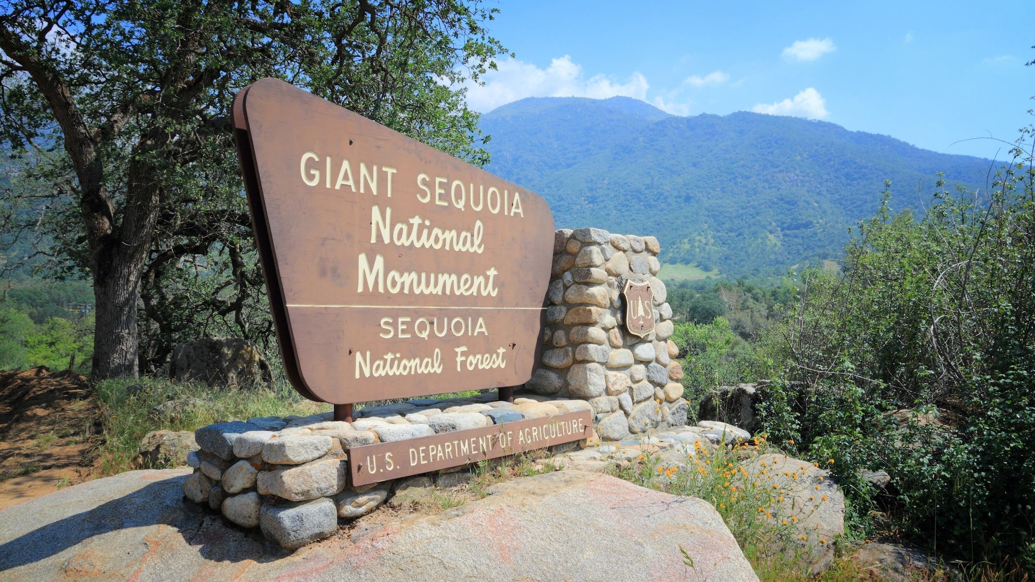 The Giant Sequoia National Monument