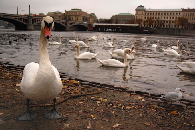 Foto: Jakub Maleček