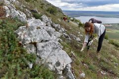 Na Pálavě vrcholí "Borytobraní", dobrovolníci vytrhávají zplanělou invazní rostlinu