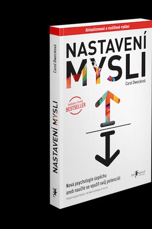 Nastavení mysli