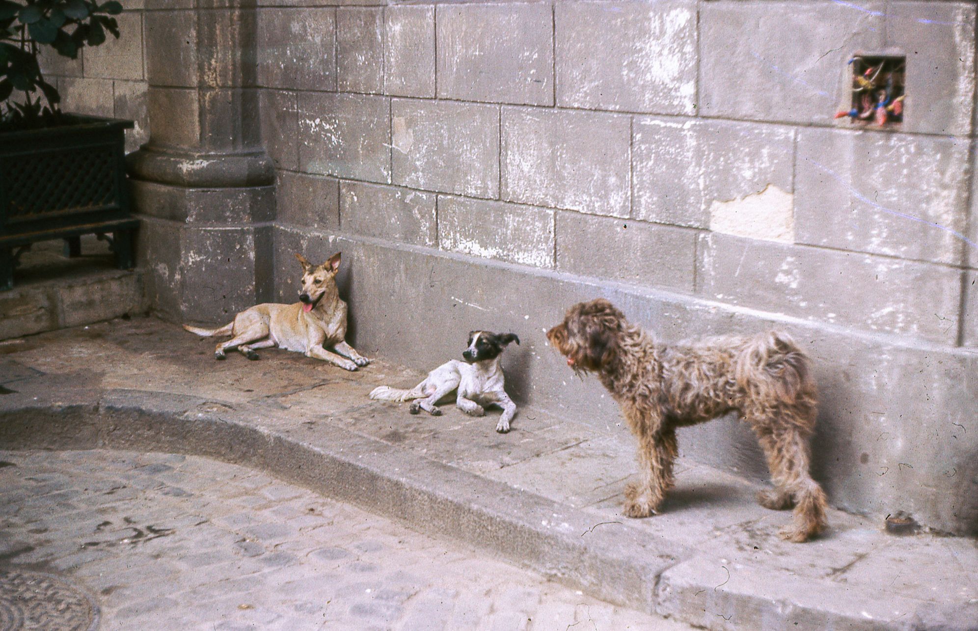 Kuba, rok 1989, Petr Levinský, Zahraničí, vol. 1