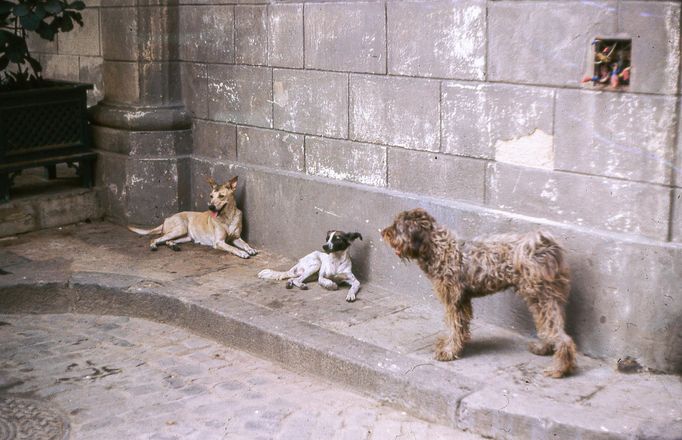 Fotografie Kuby, kterou pořídil Petr Levínský během pobytového zájezdu, jenž organizovala tehdejší Cestovní kancelář mládeže na jaře v roce 1989.