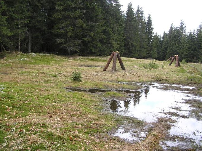 Otrávené trojnožky na mokřině v bezzásahovém území