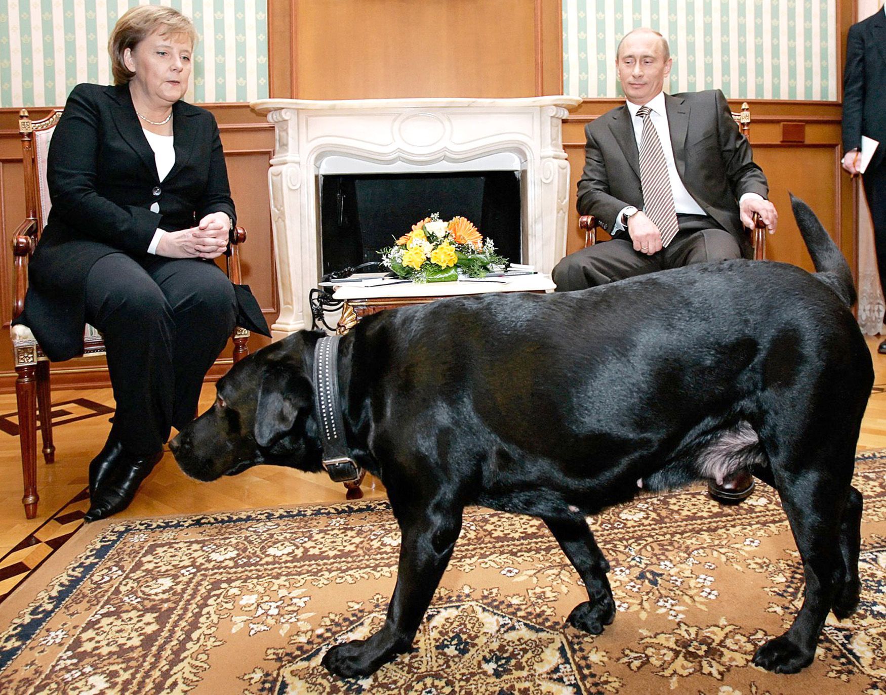 Putin, Merkelová