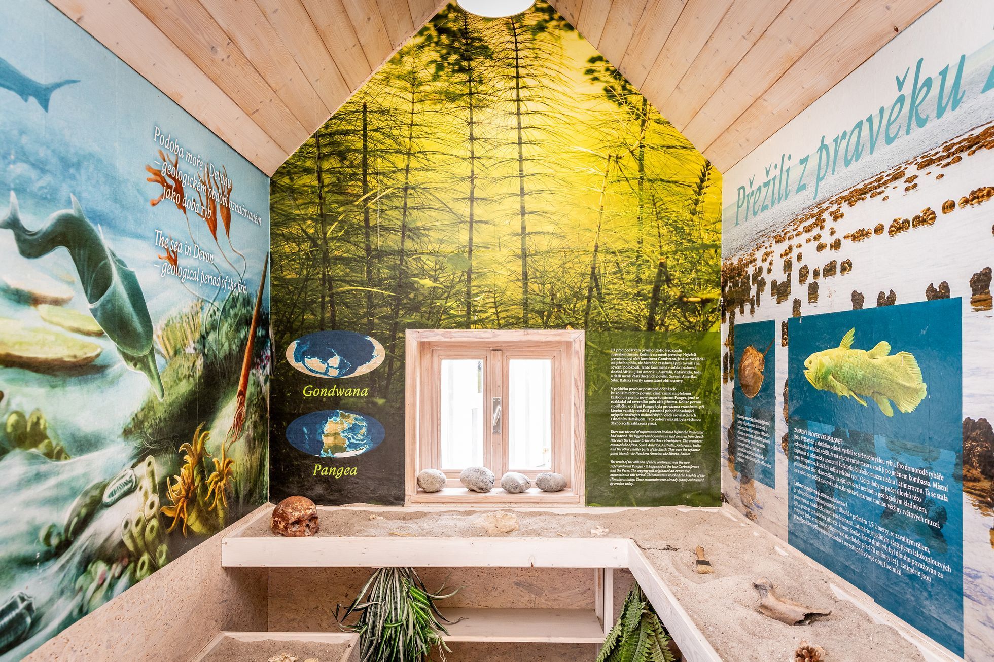 Levandulové údolí, údolí, levandule, Helena Neummanová, Chodouň