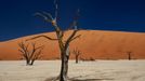 Jaroslav Hora, vítěz soutěže Travel Photographer of the Year: Namibie