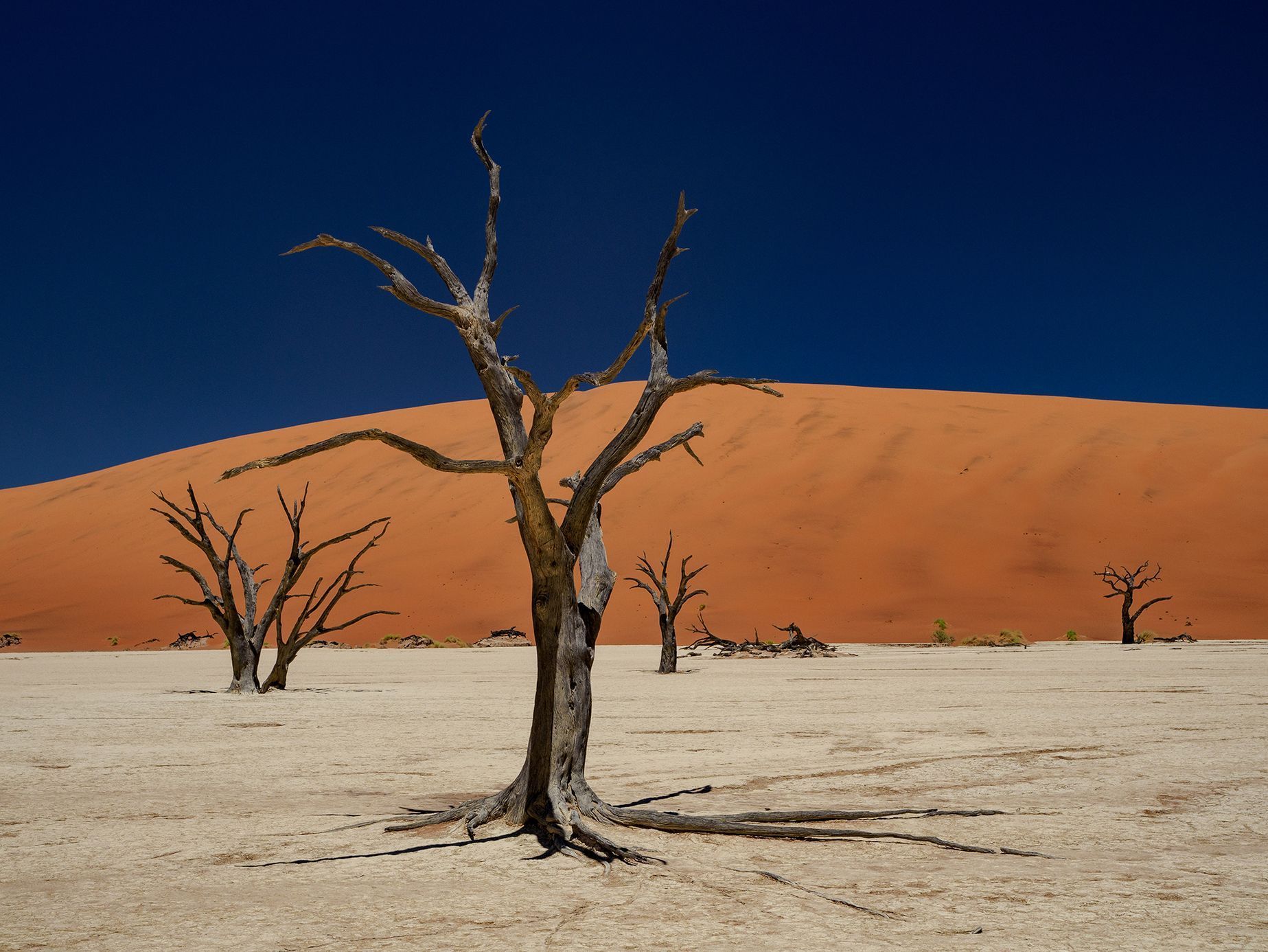 Jaroslav Hora, vítěz soutěže Travel Photographer of the Year: Namibie