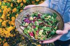 Letní salátové recepty, které nejsou nuda: Dopřejte si vitaminy netradičně