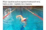 Přílišné odhalování v bazénku ve stylu Zdeňka Škromacha tiskové oddělení ČSSD svým politikům nedoporučuje, slušivá koupací čepice je ale v pořádku.