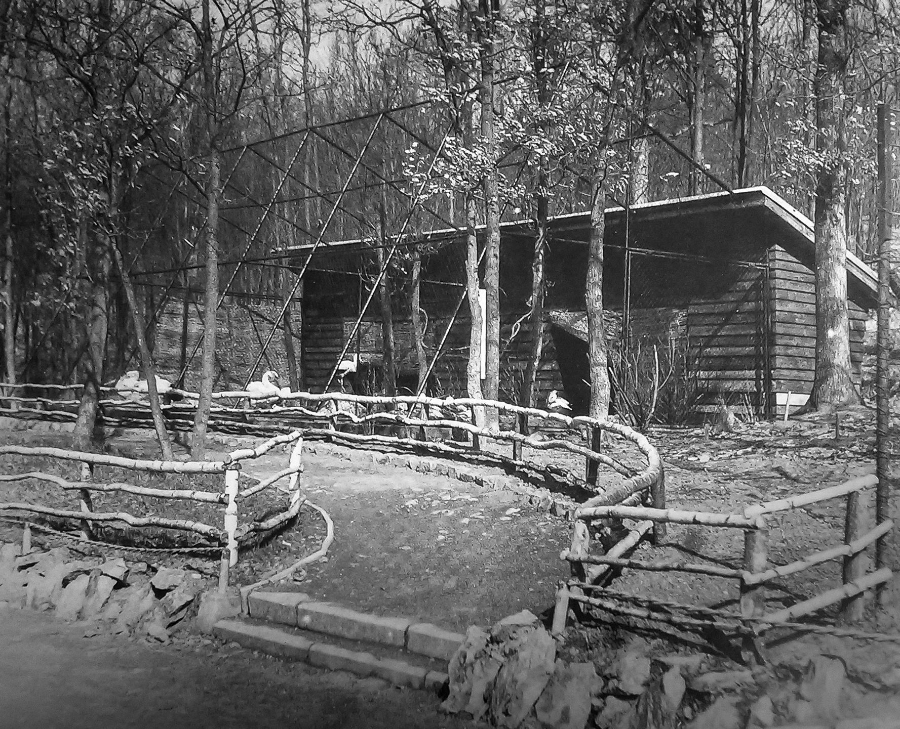 Zoo Brno, Brněnská zoo, zoo, zoologická zahrada, historie, výročí, Domácí