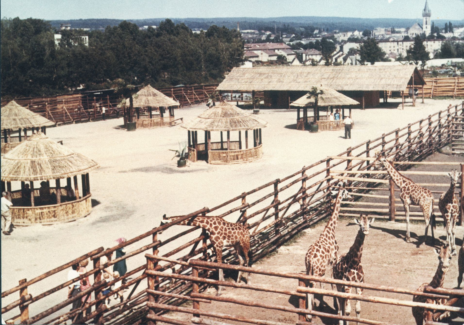 Jednorázové užití / Fotogalerie / ZOO Dvůr Králové je tu už 75 let. Podívejte se na snímky z její historie