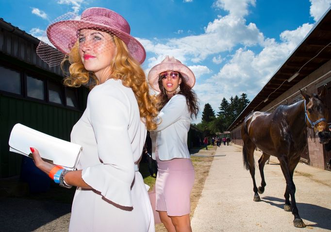 Czech Press Photo 2017: Sport (série)