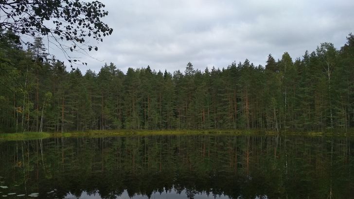 Jedno ze 187 888 jezer ve Finsku.