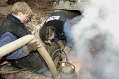 Vandal poničil teplovod v Čáslavicích, vyvrtal desítky děr