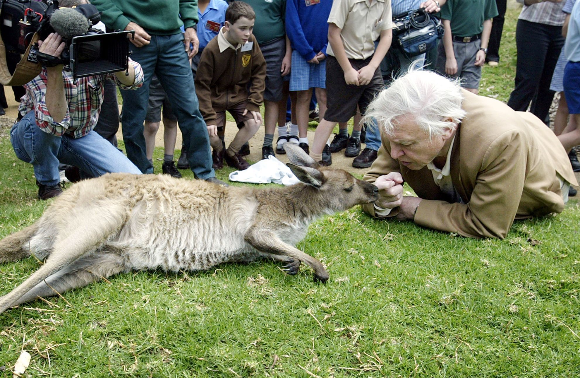 Jednorázové užití / Fotogalerie / Legendární britský přírodovědec David Attenborough slaví 95. narozeniny