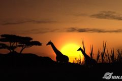 Afrika - safari z pohodlí vašeho gauče