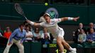 Andy Murray v semifinále Wimbledonu 2016.