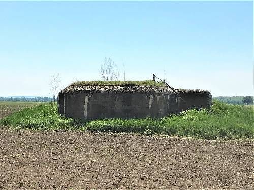 Dyjákovice na Znojemsku. Objekt stálého lehkého opevnění (typ A-180) se nachází cca tři kilometry jihovýchodně od obce Dyjákovice uvnitř zemědělského lánu v části místně zvané "U Enklávy". Cca 1,5 kilometru jihozápadně leží občanským sdružením zrekonstruovaný pěchotní srub MJ-S 15 "Závora" a naopak cca jeden kilometr východně u státní hranice s Rakouskem se nachází pěchotní srub MJ-S 16 "Výběžek". Minimální kupní cena: 49 660 korun. | Foto: Ministerstvo obrany, ÚZSVM