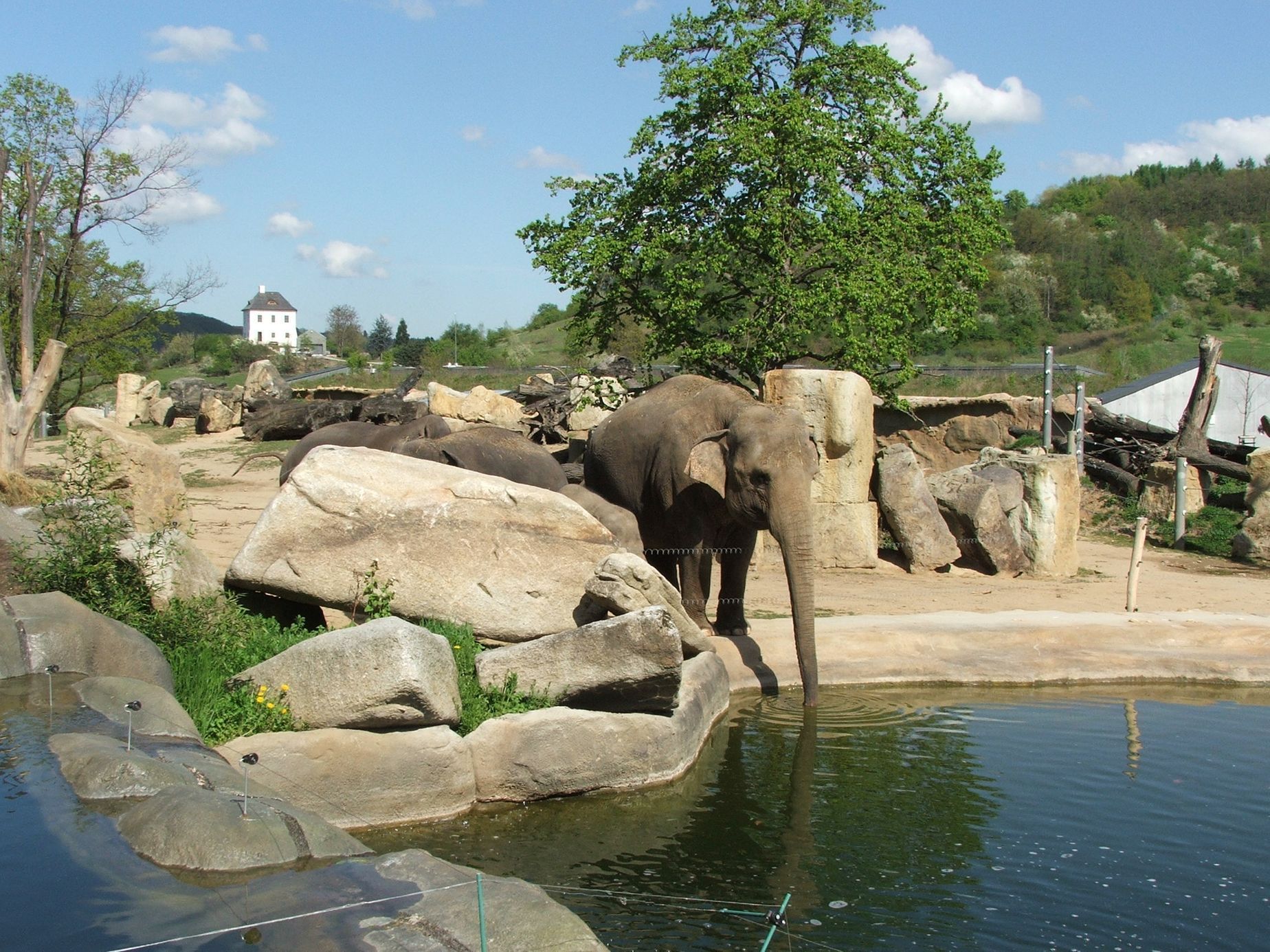 Údolí slonů - ZOO Praha
