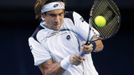 David Ferrer