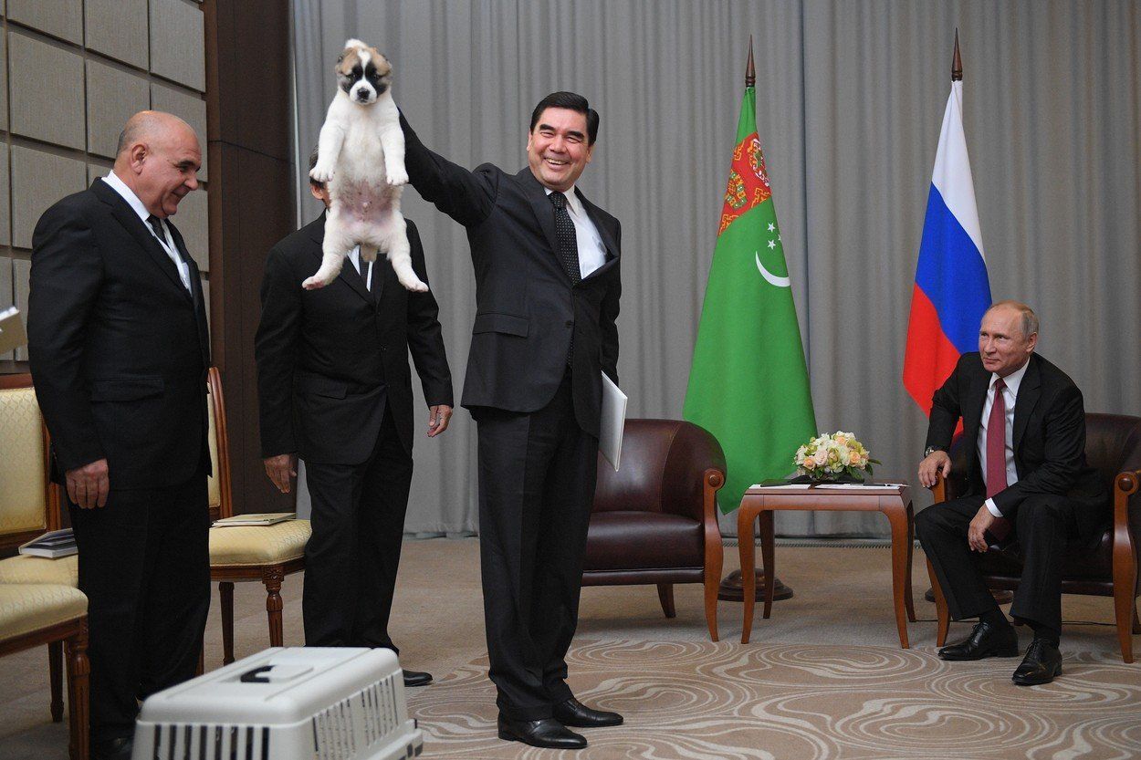 Putin a štěně