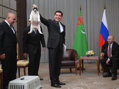 Putin a štěně